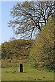 Standing Stone and Ironwork, Arrowe Park