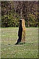 SJ2785 : Standing Stone, Arrowe Park by El Pollock