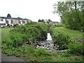 Rubbish in the brook, Radleys Park