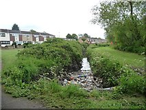 SP1585 : Rubbish in the brook, Radleys Park by Christine Johnstone