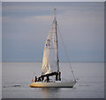 J5082 : Yacht, Bangor Bay by Rossographer