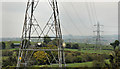 Pylons and power lines, Ballylesson, Belfast