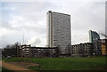 Towerblock and Pepys Park