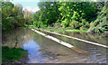 Cress Beds, Letcombe Bassett