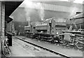 Southall Locomotive Depot, with 0-6-0PTs and a WD 2-8-0