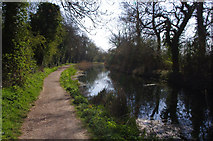SU7251 : North Warnborough - Canal Path by Chris Talbot