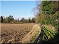 Footpath on the edge of Houghton