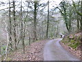 Access road and footpath leading to Coed Las-fach