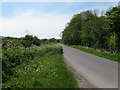 West along Firle Road