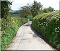 Lane to Coreley