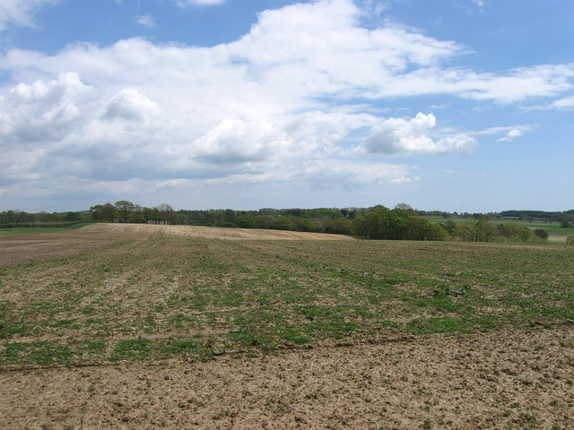 Terrible Down © Simon Carey cc-by-sa/2.0 :: Geograph Britain and Ireland