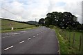 The A494 near Druid