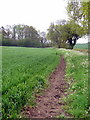 Bridleway goes into Shrobb Spinney