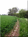 Footpath towards Deanshanger