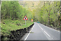 Approaching entrance to Loch Lomond Caravan park