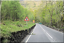 NN3109 : Approaching entrance to Loch Lomond Caravan park by John Firth