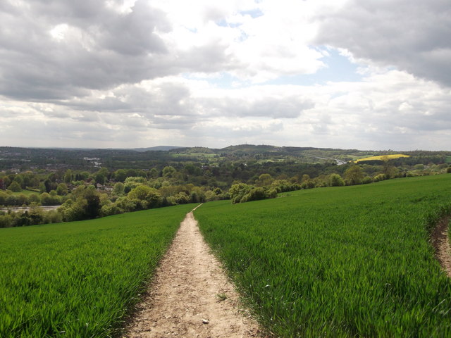 North Downs Way on Oakley Hill (2)