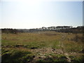 Former brickworks site at Birtley