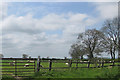 SE7378 : Sheep pasture, Brawby by Pauline E