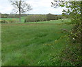 Farmland near Coreley