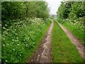 Public Right of Way Through Hatfield House Estate Towards  Hillend Farm