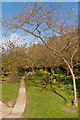 Reigate Garden of Remembrance