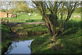 SP6182 : River Avon, by North Kilworth Mill Farm by Stephen McKay