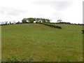 Claraghmore Townland