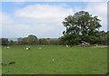 Fields near Three Rivers Ride