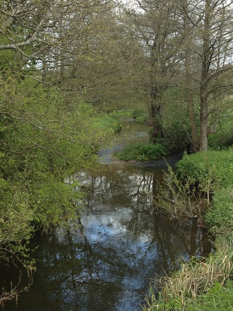 River Hooke at Toller Fratrum, looking downstream