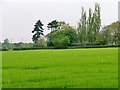 Farmland at Fourlane-ends