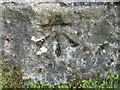 Ordnance Survey Cut Mark