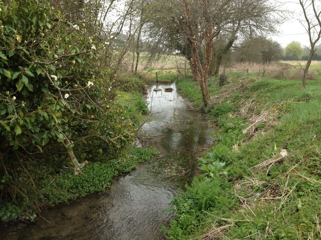 River Piddle just north of Piddlehinton