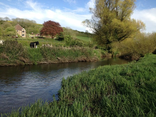 River Frome near Lower Frome Vauchurch