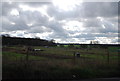 Hempstead Rd Allotments