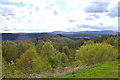 View south east from the Lodge towards Aberfoyle