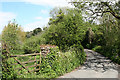 Newton and Noss: lane above Middlecombe