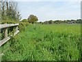 Large field near Hill Top Farm