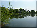 South Norwood Lake, eastern end