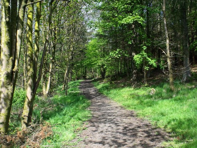 Cumbernauld, Seafar Woods © Robert Murray :: Geograph Britain and Ireland