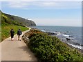 Coastal walk, Whitehead