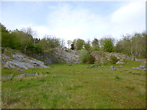 SD5576 : Burton-in-Kendal, disused quarry by Mike Faherty