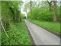 Track alongside Offham Wood