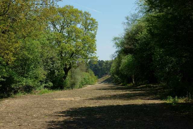 Former A3 Road, Hindhead, Surrey © Peter Trimming Cc-by-sa 2.0 