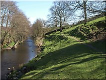 SE1764 : River Nidd by Derek Harper