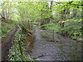 Painswick Stream