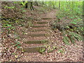 Wooden steps in Blackstable Woods