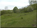 Grassy slopes below Lord