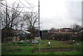 TQ3679 : Surrey Docks Farm by N Chadwick