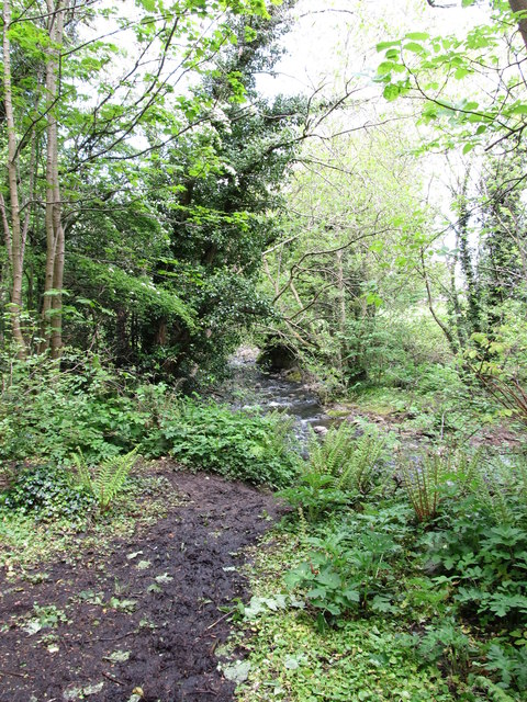 A muddy path leading to the Colin River
